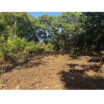 2905 Rose Marie Drive  Wonder Lake IL 60097