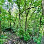 309 Peru Street Peru IL 61354