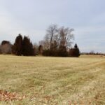 1180 Lakewood Drive  Morris IL 60450