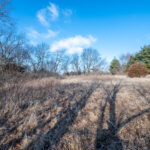 320 Vermillion Lane  Dixon IL 61021