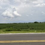 10.38 acres Heggs Road  Plainfield IL 60585