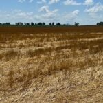 2000 County Road  Varna IL 61375