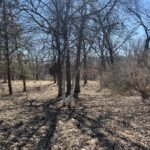 16524 Grove Creek Circle  Pecatonica IL 61063