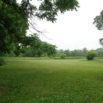 3523 Long Grove Road  Long Grove IL 60047