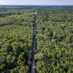 Tract 4 Mayflower Road  Clay City IL 62824