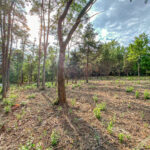 38947 Deep Lake Road  Lake Villa IL 60046