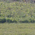 Lot3 Rt 52 Road  Manhattan IL 60442