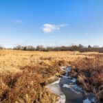 19925 Indian Creek Road  Long Grove IL 60060