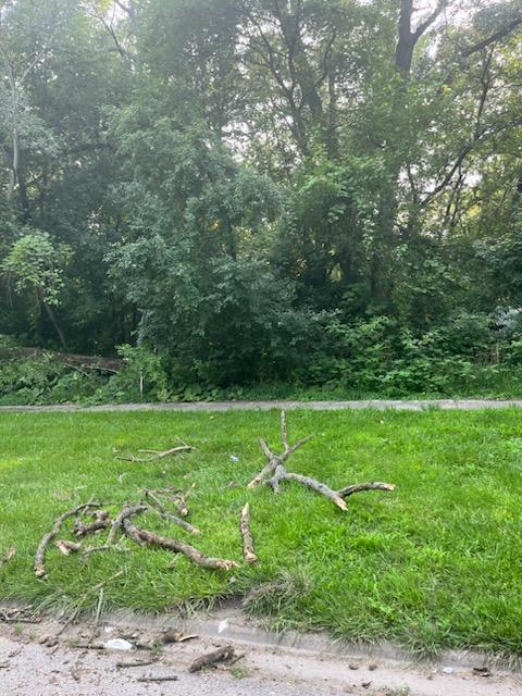 13536 Central Park Avenue  Robbins IL 60472