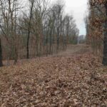 2643 DOGWOOD Road  Carbondale IL 62902