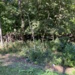 1105 Jay Court  Varna IL 61375