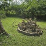 25-37 Woodhaven Sublette IL 61367