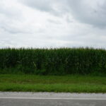 7500 Rt 50   Manteno IL 60950