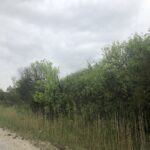 13815 McCarthy Road  Lemont IL 60439