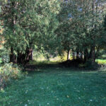 330 Poteet Avenue  Inverness IL 60067