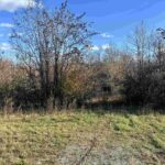 1475 State Route 127 S Highway Jonesboro IL 62952