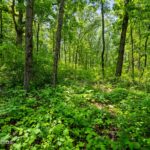 3888 Carlisle Drive  Crystal Lake IL 60012