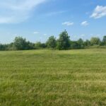 905 Wheatfield Avenue  Sugar Grove IL 60554