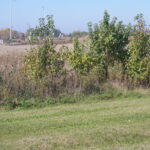 Sec29 Heritage Drive  Elwood IL 60421