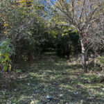 23976 Beach Grove Road  Antioch IL 60002