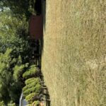 28/93 Woodhaven Lakes Avenue  Sublette IL 61367