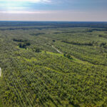 Tract 4 Mayflower Road  Clay City IL 62824