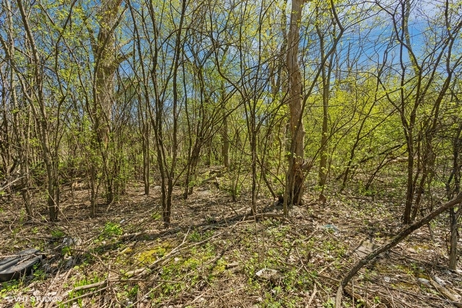 1630 LOT 5 Myrtle  Park Street  Roselle IL 60172