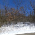 4 Boulder Lane  Galena IL 61036