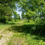 9618 Emily Lane  Union IL 60180