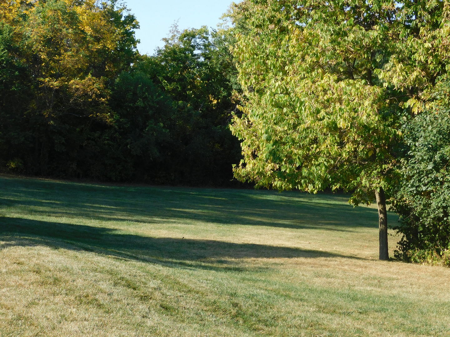 664 Oak Court  Marseilles IL 61341