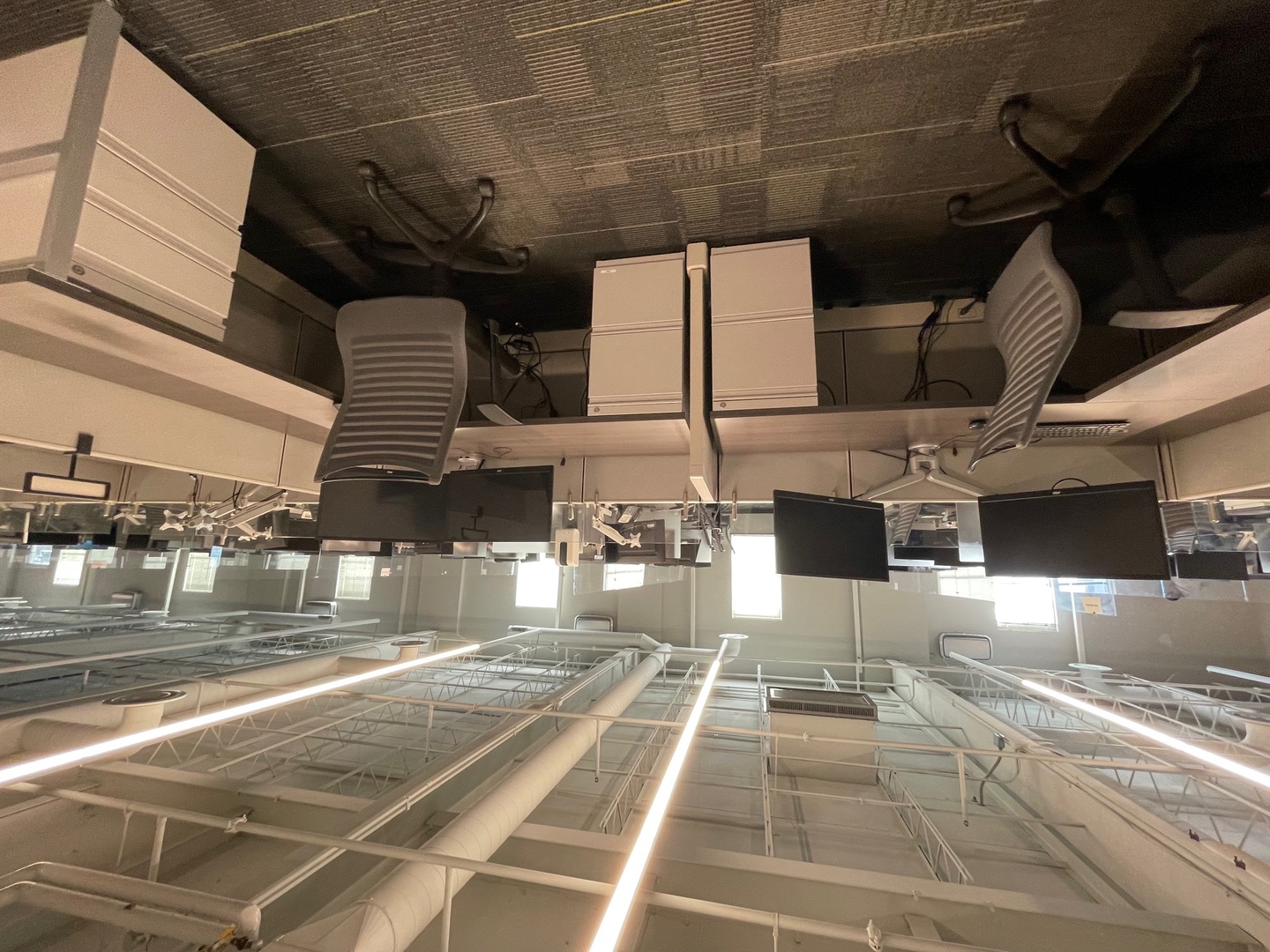 2400 E Devon Avenue Des Plaines IL 60016