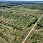 Tract 4 Mayflower Road  Clay City IL 62824