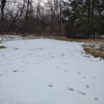 3349 Mill Road  Cherry Valley IL 61016