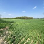 0000 Higgins Road  Hampshire IL 60140