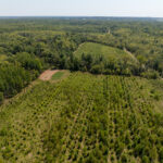 Tract 1 Mint Lane Clay City IL 62824