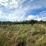 5048 Smokethorn Trail  Belvidere IL 61008