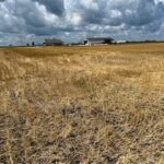 17 ROUTE Road  Varna IL 61375