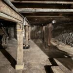 700 Kedzie Avenue  Chicago IL 60612