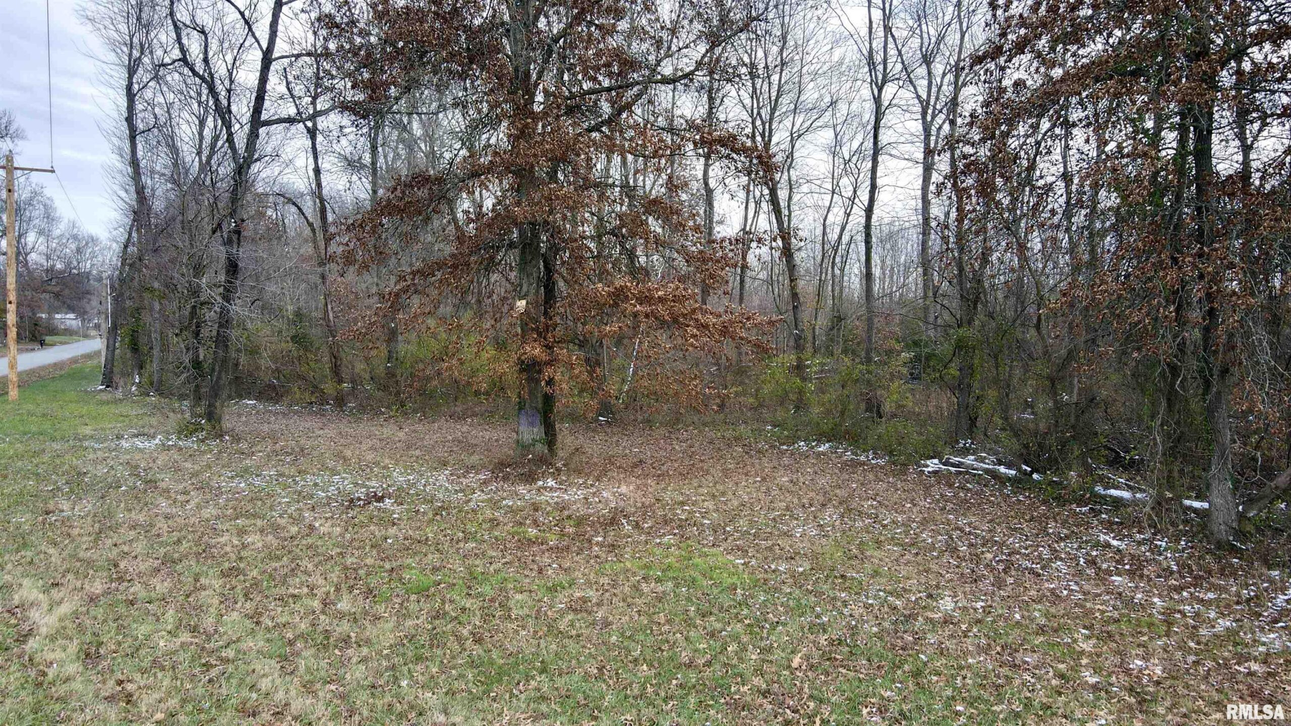 10200 COUNTRY CLUB Road West Frankfort IL 62896