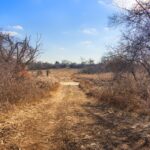 19925 Indian Creek Road  Long Grove IL 60060