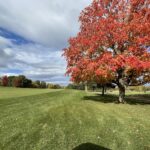 20992 Preserve Drive Kildeer IL 60047