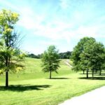 Lot 1764 Sunflower Court  Varna IL 61375