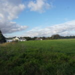 Section 18 Momence Street  Momence IL 60954