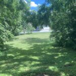 84 Elmhurst Street  Crystal Lake IL 60014