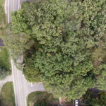 Lot 8 Elmwood Drive  Carpentersville IL 60110