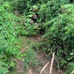 20 AC Butternut Road  Oregon IL 61061