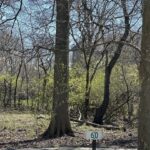 24863 Sterling Oaks Court  Shorewood IL 60404