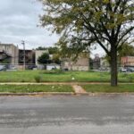 1102-1108 Albany Avenue  Chicago IL 60612