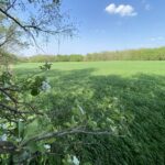 0000 Higgins Road  Hampshire IL 60140