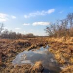 19925 Indian Creek Road  Long Grove IL 60060